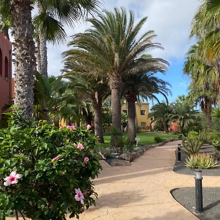 Apartmán Casa Oasis Tamarindo Corralejo