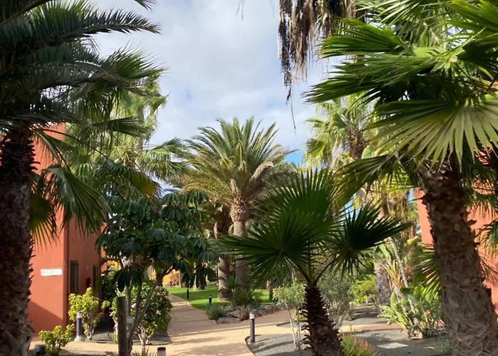 Casa Oasis Tamarindo Corralejo